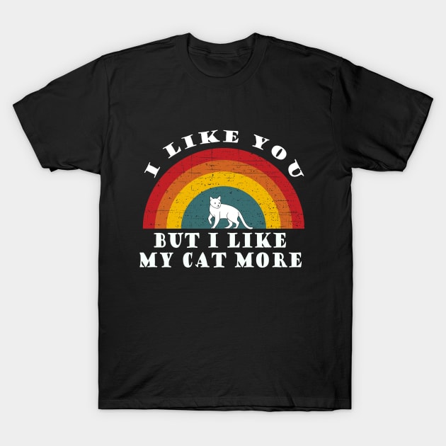 I like you, but I like my cat more T-Shirt by Tall One Apparel